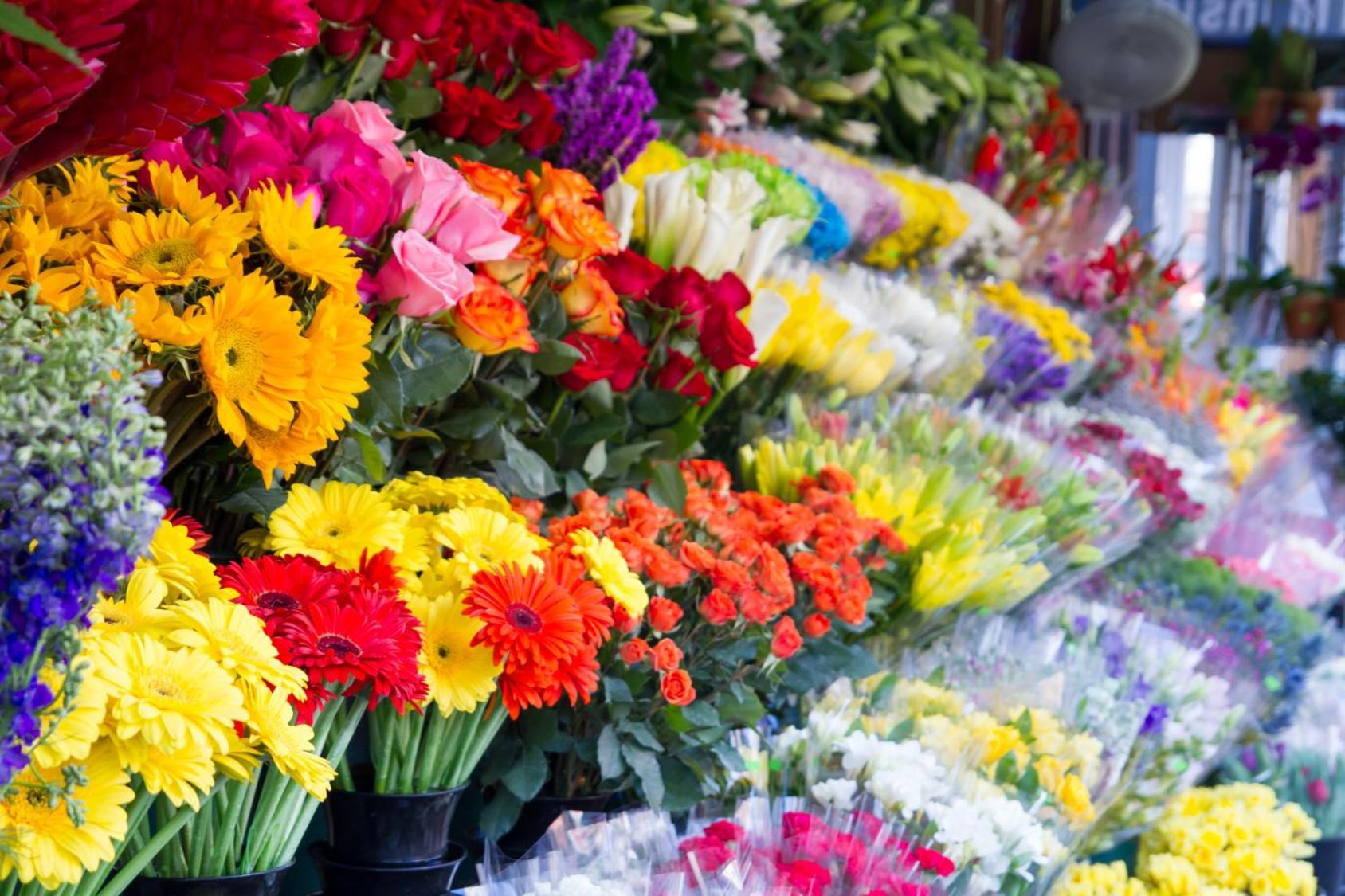 Miraflores Alicante Ngoại thất bức ảnh